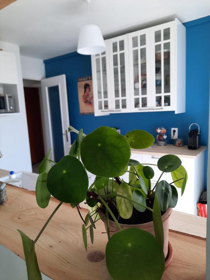 Appart Proche Plage Avec Grand Balcon Cannes Eksteriør bilde